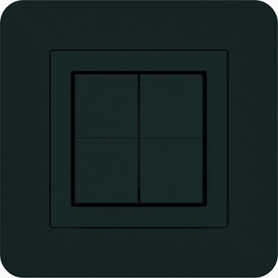 kallysto trend Schwarz