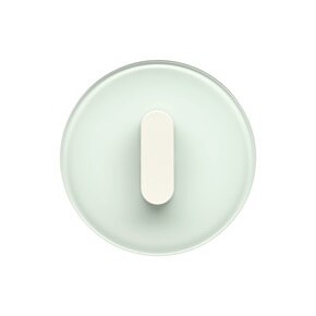 Frontalansicht Berker Classic Lichtschalter mit Knebel in Weiß und Abdeckplatte aus Glas