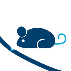 Piktogramm zur Illustration Bissschadens durch Kleintiere, Darstellung eine Maus und einer beschädigten Kabelisolierung