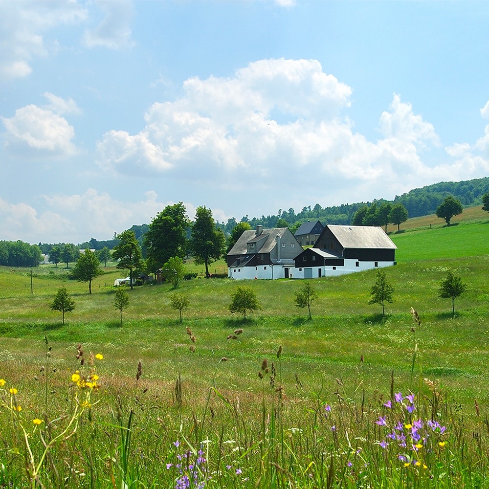 Blick auf Bauernhäuser in mittlerer Entfernung inmitten idyllischer Graslandschaft, im Hintergrund Wälder