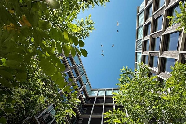 Building_with_birds_Enhanced_RGB-lan