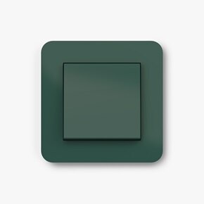 Lichtschalter mit Rahmen in Farbe jade seidenmatt