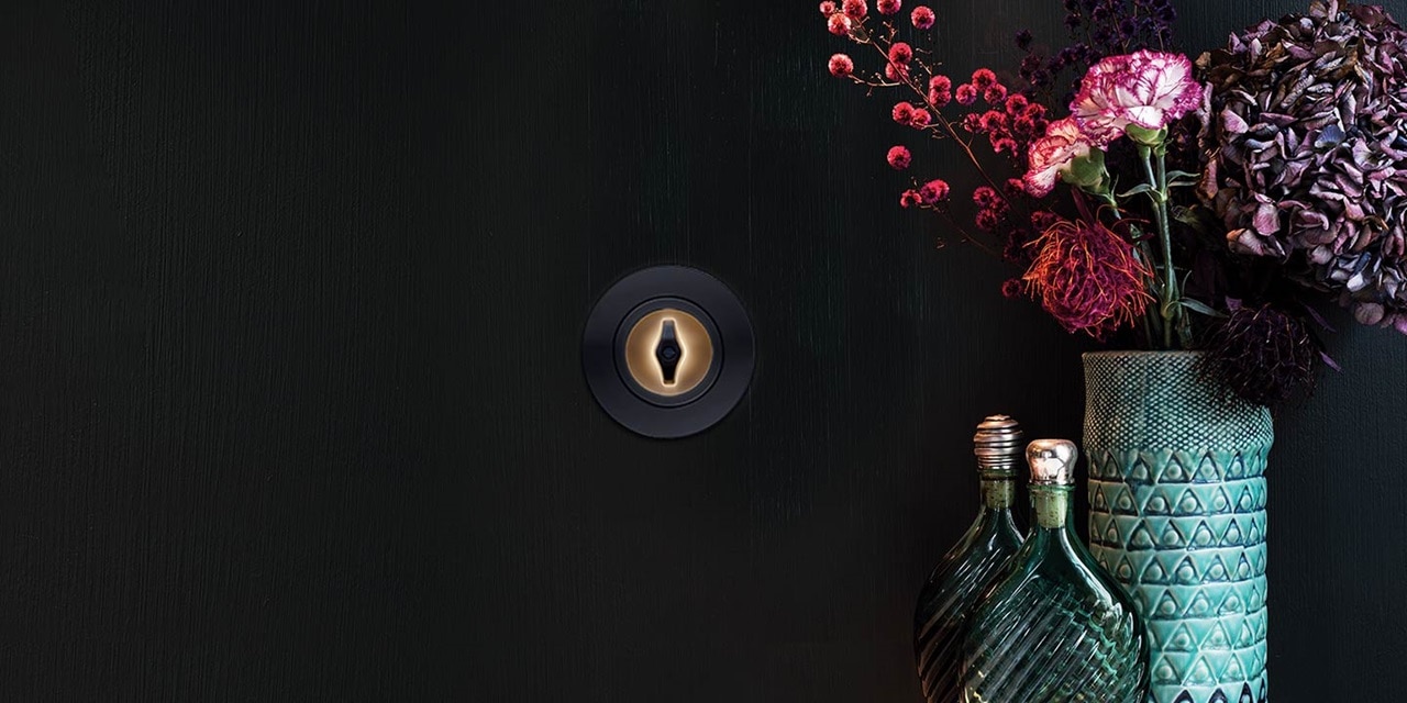 Moderner schlüsselförmiger Lichtschalter an dunkler Wand mit dekorativen Blumen und Vasen