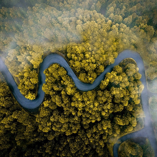 Luftaufnahme eines sich schlängelnden Flusses durch einen dichten Wald