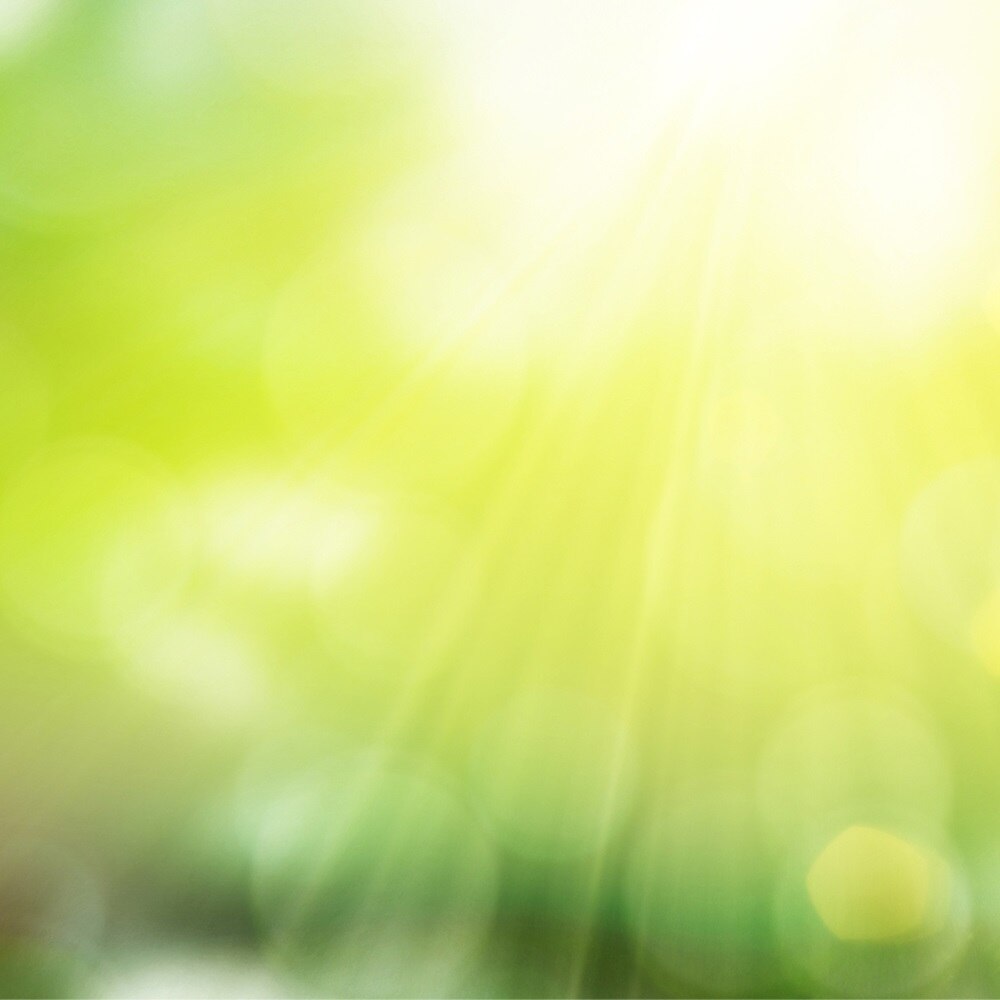 Abstrakter grün-gelber Hintergrund mit Sonnenlicht-Bokeh-Effekt