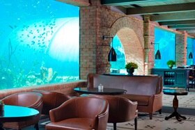 hg_IP_IN_Apurva_05_1080x720