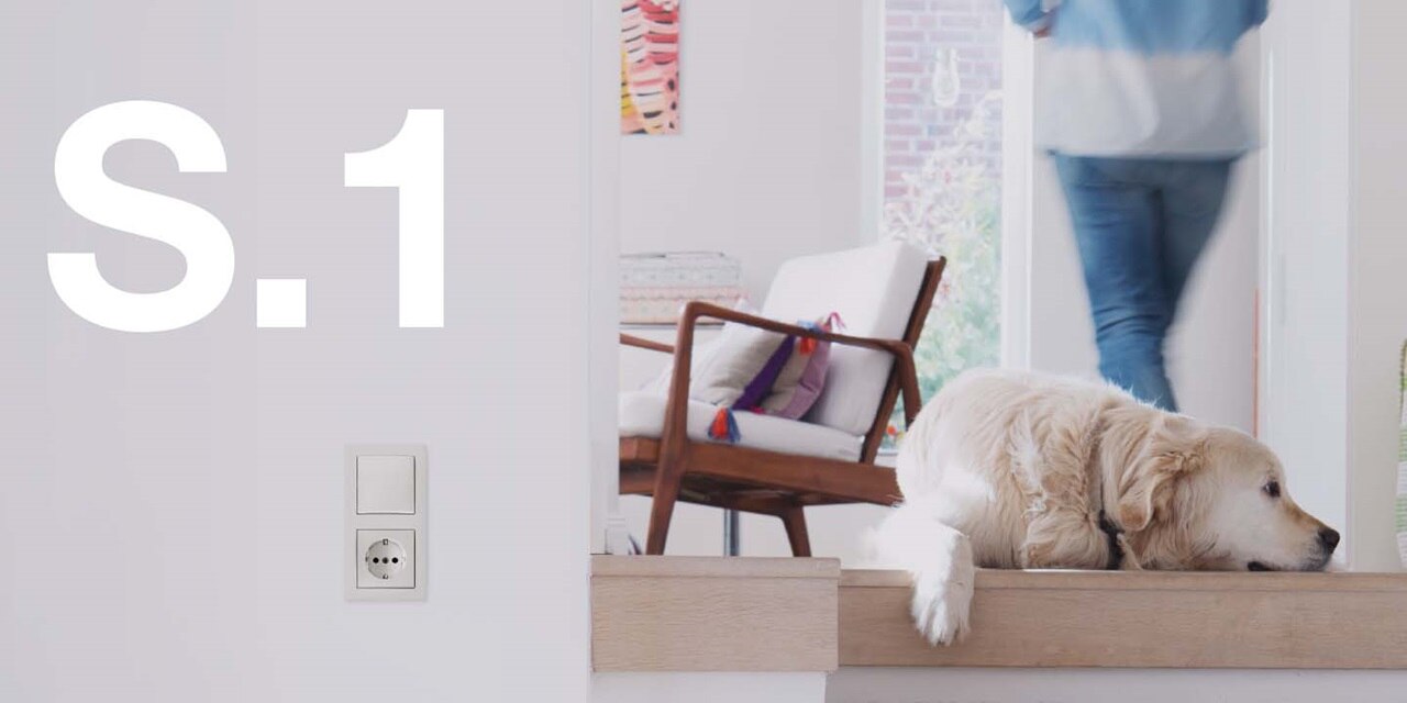 Hager S.1 switch series with white wall-mounted light switch and power outlet in a home setting with a dog and blurred person walking in the background