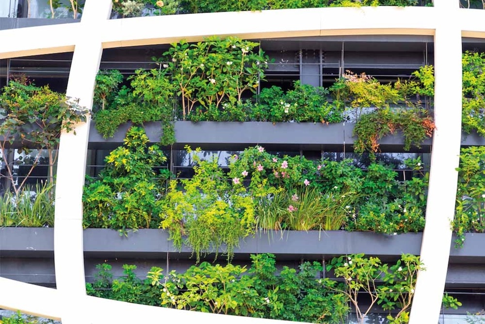 Growing plants