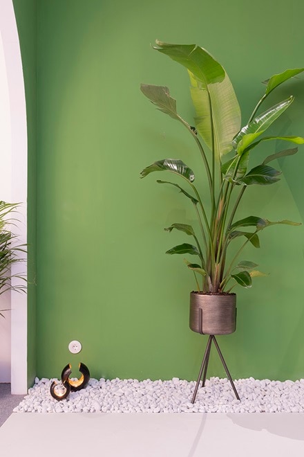 Marbella Design 2021