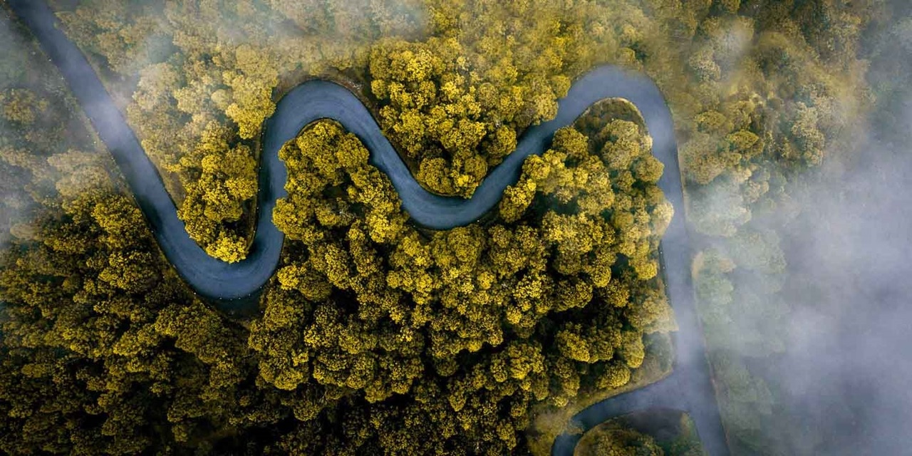 Vue aérienne d’une route sinueuse traversant une forêt dense, avec de la brume suspendue entre les feuillages, donnant au paysage une atmosphère paisible et naturelle.