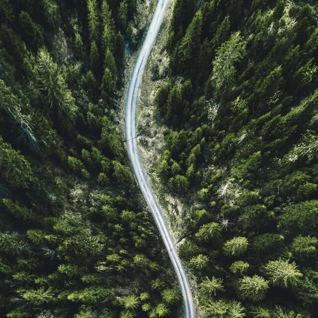 Vue aérienne d'une route sinueuse traversant une forêt dense