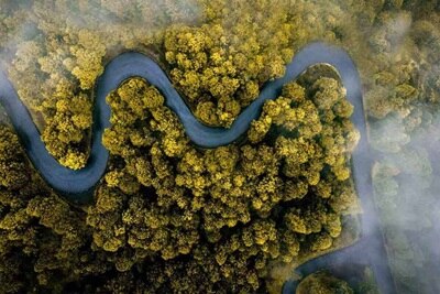 Vue aérienne d'une route sinueuse dans une forêt