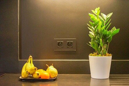 appareillage gallery Hager, Résidence Le Palais Gallien à Bordeaux