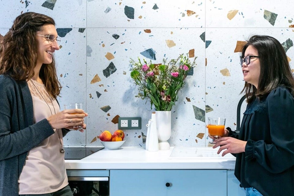 Appareillage mural essensya de Hager, plaque 2 postes finition botanic, fonction 2 prises 2P + T affleurantes pure