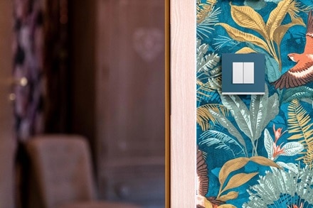 Appareillage mural gallery de Hager, plaque river, double interrupteur pure sur papier peint coloré