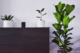 Créez l'ambiance musicale de votre choix en couplant Sonos et domovea