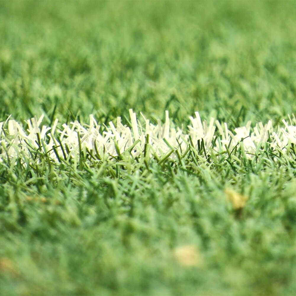 Gros plan sur pelouse d'un stade