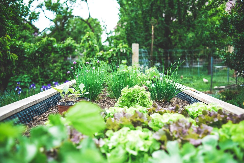 dechets menagers, dechets, engrais, jardin, potager, methode du compostage, compost, methanisation, transformation dechets, transformee en energie, gaz, electricite