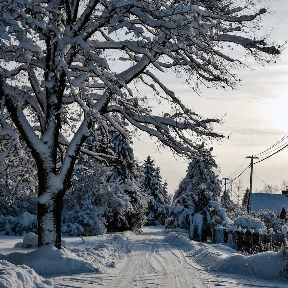 entrée d'un village sous la neige
