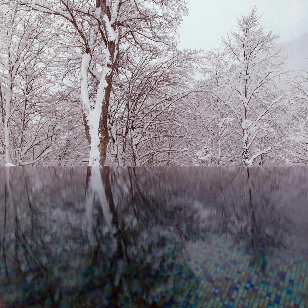 reflet d'arbres enneigés dans une piscine à débordement