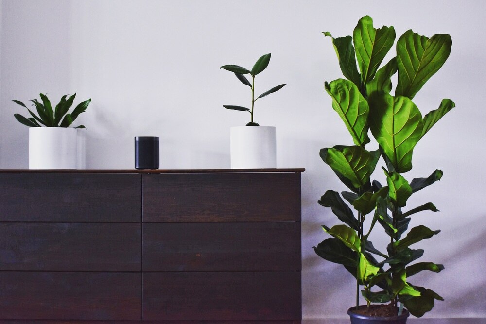 La solution connectée Hager domovea est compatible avec les objets connectés de la marque Sonos