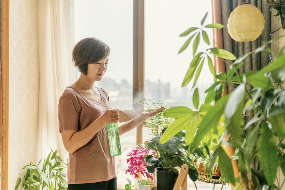 Décoration urban jungle pour votre intérieurs avec des plantes.