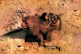 Hager Group history_Marketing_70_pic1