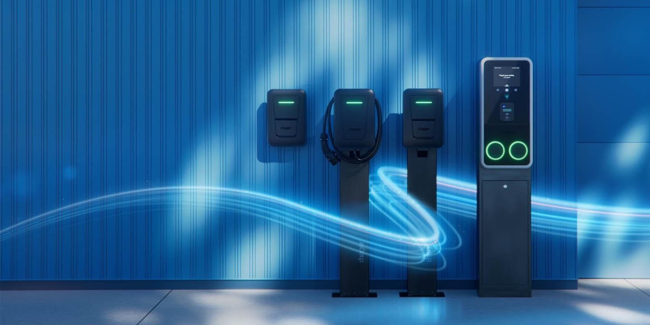 witty_family_2026_bckg