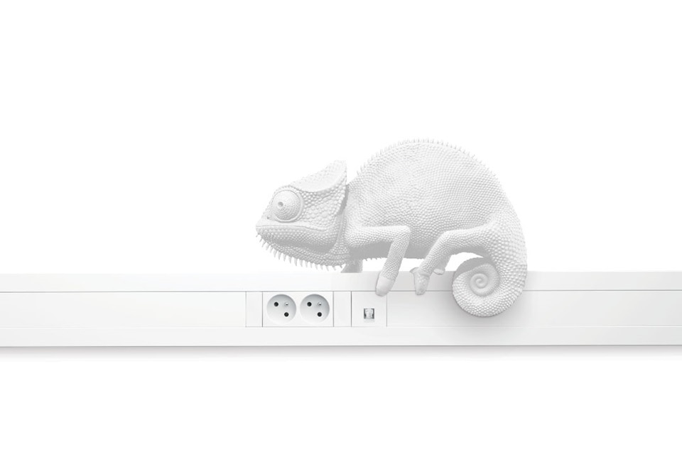Sculpture de caméléon blanc sur une multiprise électrique avec prises et interrupteurs