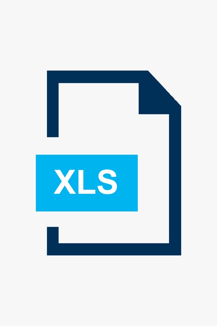 icona xls