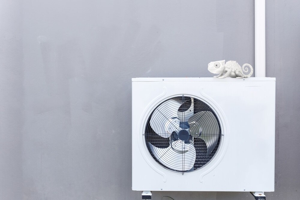 Canalina per condizionamento CND Bocchiotti montata e collegata ad un’unità esterna installata su una parete grigia. Al di sopra un camaleonte generato con l’IA per mettere in evidenza la capacità di mimetizzarsi con tutti gli elementi del sistema e l’ambiente.