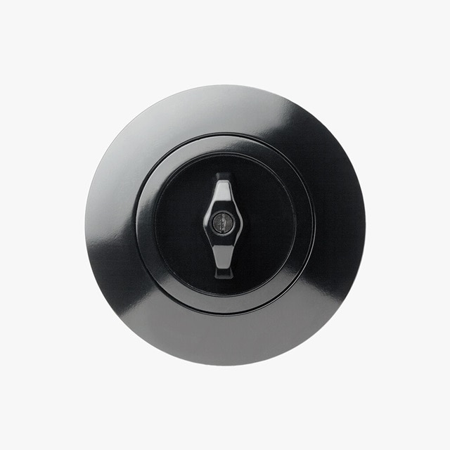 Vista frontale dell'interruttore della luce Berker Serie 1930 con cavo e piastra di copertura rotonda in nero