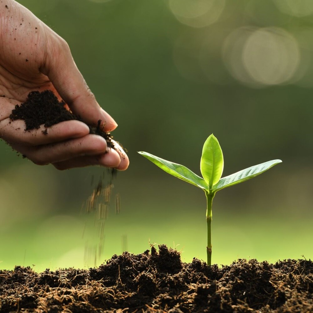 Hager Bocchiotti sostenibile