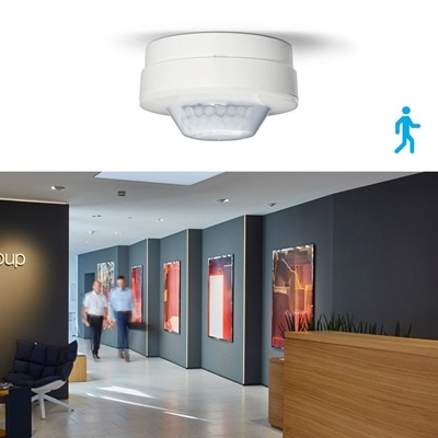 Rilevatori di movimento e presenza