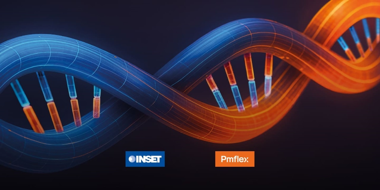 Immagine astratta che rappresenta l'unione di inset e pmflex come un'elica del DNA su fondo nero i cui filamenti di colori differenti rappresentano i due brand, evidenziati con i loghi centrati in basso