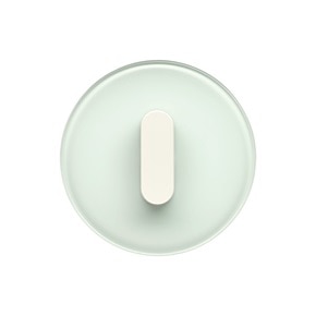 Vista frontale dell'interruttore della luce della serie di design Berker R.classic con manopola bianca e piastra di copertura in vetro su sfondo bianco