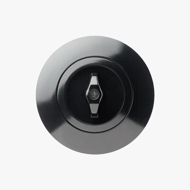 Vista frontale dell'interruttore della luce Berker Serie 1930 con cavo e piastra di copertura rotonda in nero