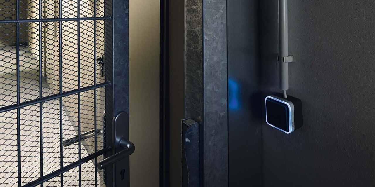 Esempio di installazione dell'interruttore della luce Berker W.1 da superficie con illuminazione per ambienti umidi su una parete grigia in un seminterrato