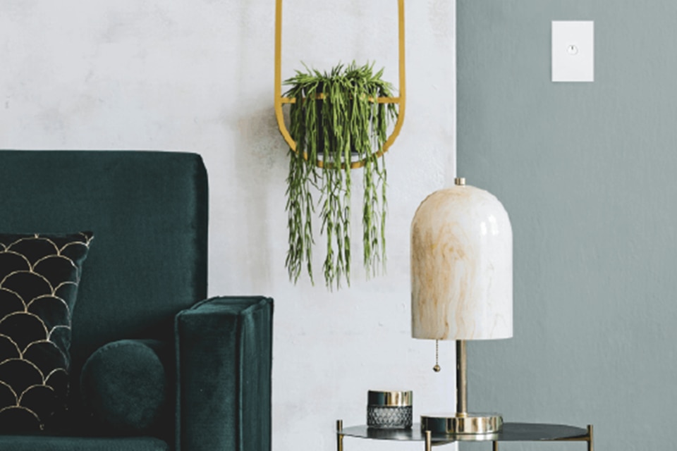 Modern living room with a green velvet armchair, decorative lamp, and a Hager wall switch on a painted wall