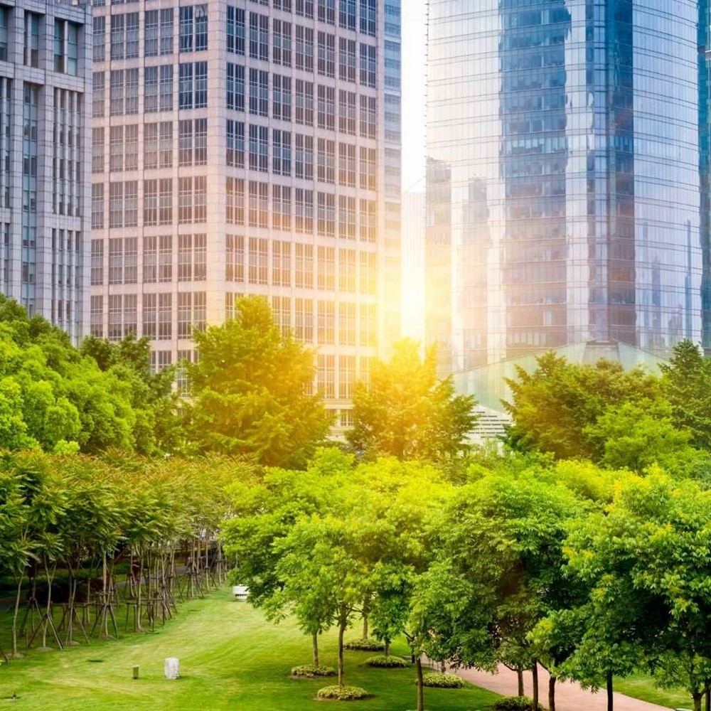 bat parc 5_1024x1024