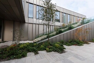 Modernt byggnadsfasad med landskapsarkitektur och trappa