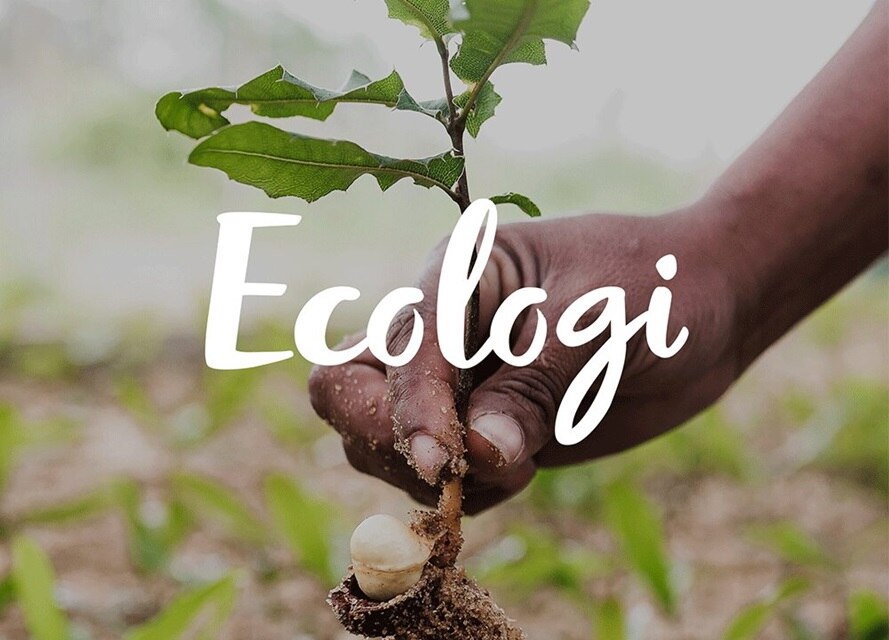 Ecologi